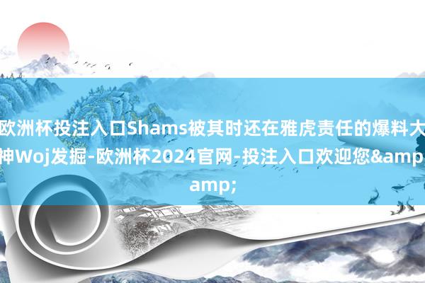 欧洲杯投注入口Shams被其时还在雅虎责任的爆料大神Woj发掘-欧洲杯2024官网-投注入口欢迎您&