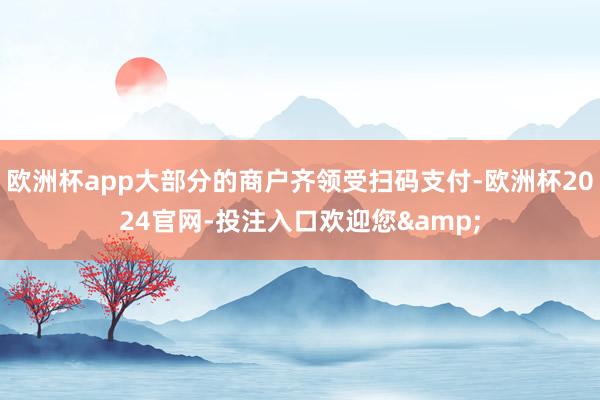 欧洲杯app大部分的商户齐领受扫码支付-欧洲杯2024官网-投注入口欢迎您&