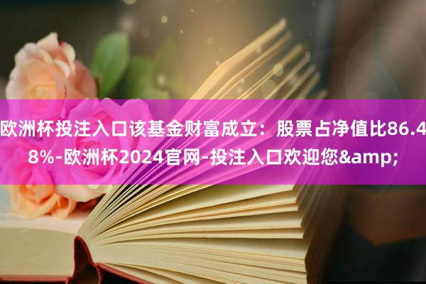 欧洲杯投注入口该基金财富成立：股票占净值比86.48%-欧洲杯2024官网-投注入口欢迎您&