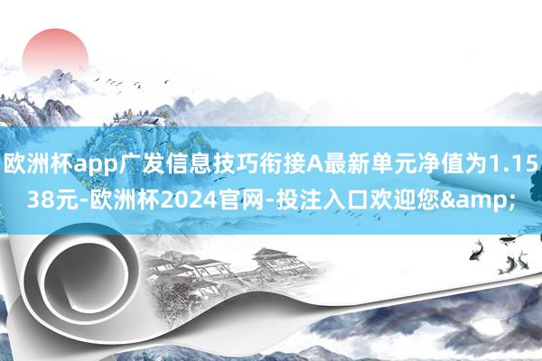 欧洲杯app广发信息技巧衔接A最新单元净值为1.1538元-欧洲杯2024官网-投注入口欢迎您&