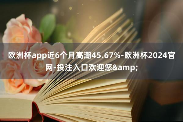 欧洲杯app近6个月高潮45.67%-欧洲杯2024官网-投注入口欢迎您&