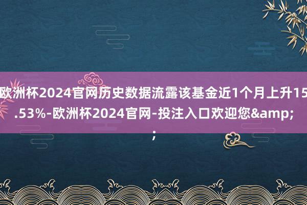 欧洲杯2024官网历史数据流露该基金近1个月上升15.53%-欧洲杯2024官网-投注入口欢迎您&