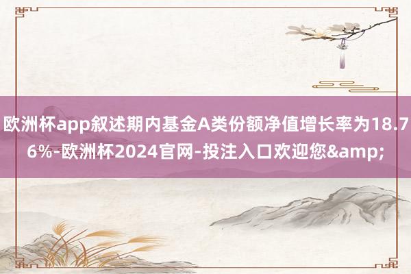 欧洲杯app叙述期内基金A类份额净值增长率为18.76%-欧洲杯2024官网-投注入口欢迎您&