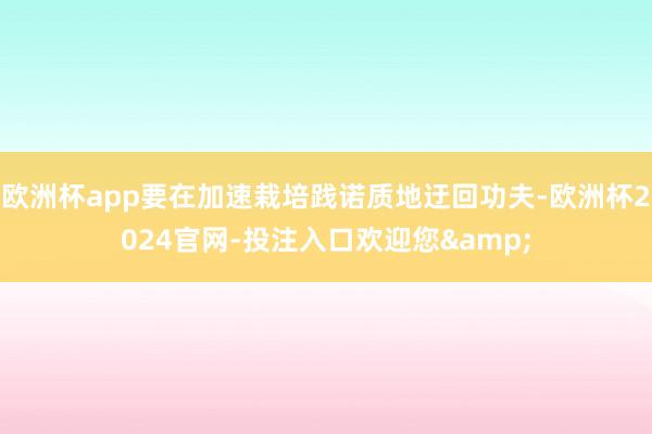 欧洲杯app要在加速栽培践诺质地迂回功夫-欧洲杯2024官网-投注入口欢迎您&