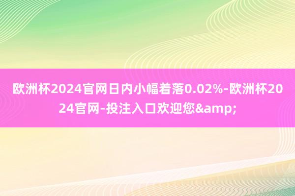 欧洲杯2024官网日内小幅着落0.02%-欧洲杯2024官网-投注入口欢迎您&