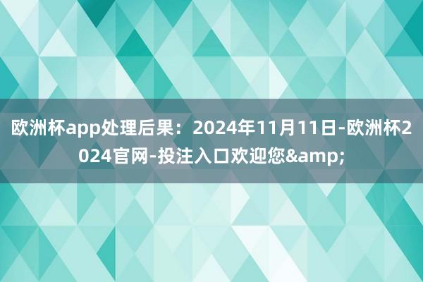 欧洲杯app处理后果：2024年11月11日-欧洲杯2024官网-投注入口欢迎您&