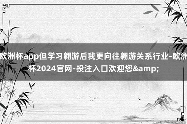 欧洲杯app但学习翱游后我更向往翱游关系行业-欧洲杯2024官网-投注入口欢迎您&