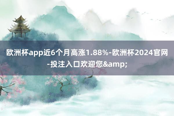 欧洲杯app近6个月高涨1.88%-欧洲杯2024官网-投注入口欢迎您&