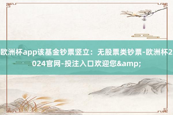 欧洲杯app该基金钞票竖立：无股票类钞票-欧洲杯2024官网-投注入口欢迎您&