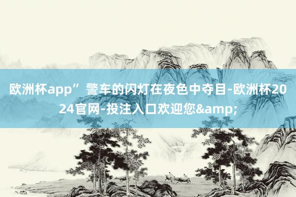 欧洲杯app” 警车的闪灯在夜色中夺目-欧洲杯2024官网-投注入口欢迎您&