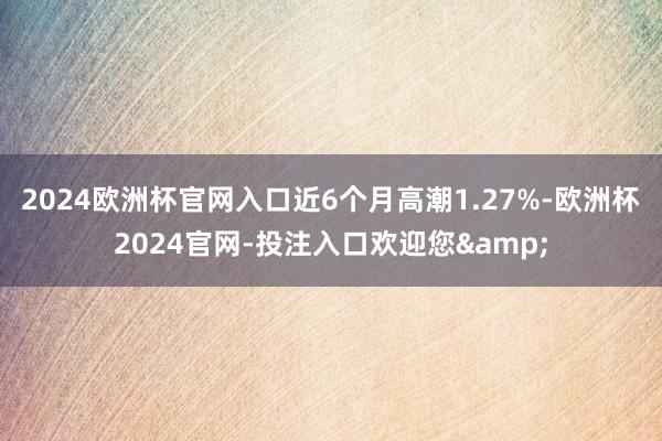 2024欧洲杯官网入口近6个月高潮1.27%-欧洲杯2024官网-投注入口欢迎您&