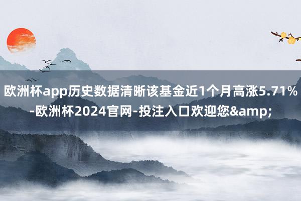 欧洲杯app历史数据清晰该基金近1个月高涨5.71%-欧洲杯2024官网-投注入口欢迎您&