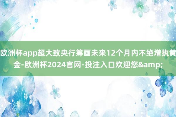 欧洲杯app超大致央行筹画未来12个月内不绝增执黄金-欧洲杯2024官网-投注入口欢迎您&