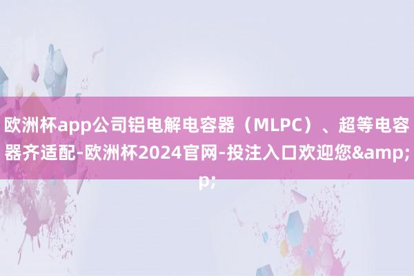 欧洲杯app公司铝电解电容器（MLPC）、超等电容器齐适配-欧洲杯2024官网-投注入口欢迎您&