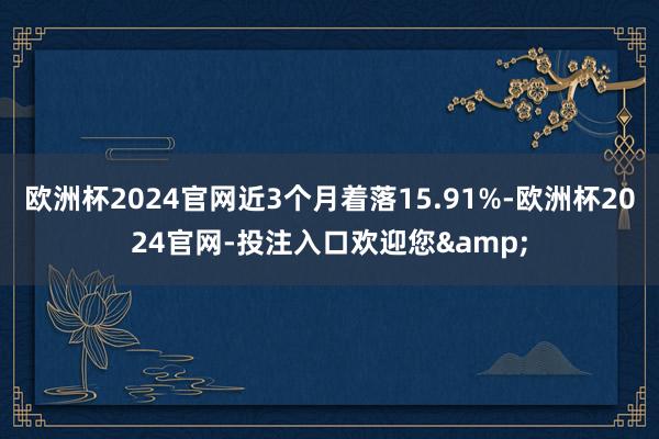 欧洲杯2024官网近3个月着落15.91%-欧洲杯2024官网-投注入口欢迎您&