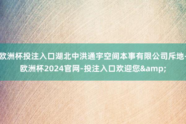 欧洲杯投注入口湖北中洪通宇空间本事有限公司斥地-欧洲杯2024官网-投注入口欢迎您&