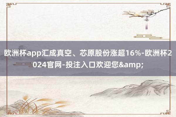 欧洲杯app汇成真空、芯原股份涨超16%-欧洲杯2024官网-投注入口欢迎您&