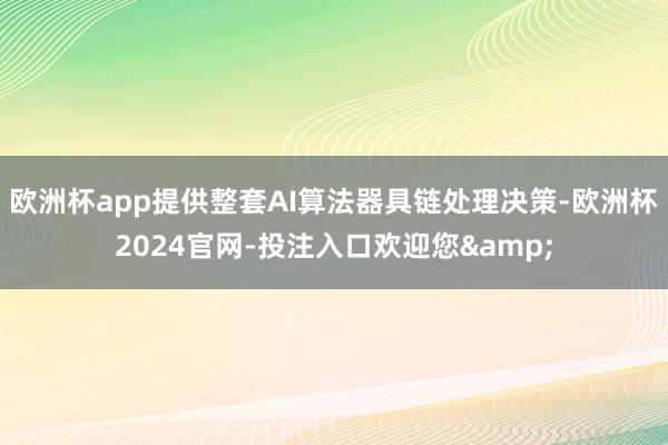 欧洲杯app提供整套AI算法器具链处理决策-欧洲杯2024官网-投注入口欢迎您&