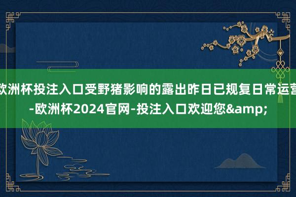 欧洲杯投注入口受野猪影响的露出昨日已规复日常运营-欧洲杯2024官网-投注入口欢迎您&