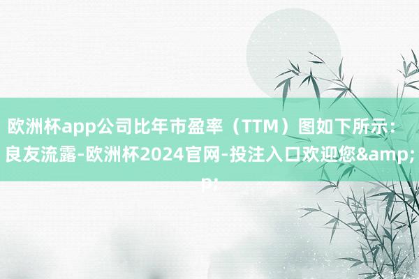 欧洲杯app公司比年市盈率(TTM)图如下所示: 良友流露-欧洲杯2024官网-投注入口欢迎您&