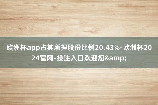 欧洲杯app占其所捏股份比例20.43%-欧洲杯2024官网-投注入口欢迎您&