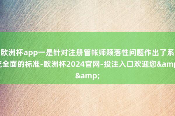 欧洲杯app一是针对注册管帐师颓落性问题作出了系统全面的标准-欧洲杯2024官网-投注入口欢迎您&