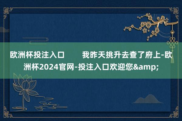 欧洲杯投注入口 我昨天挑升去查了府上-欧洲杯2024官网-投注入口欢迎您&