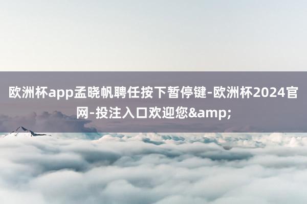 欧洲杯app孟晓帆聘任按下暂停键-欧洲杯2024官网-投注入口欢迎您&