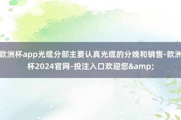 欧洲杯app光缆分部主要认真光缆的分娩和销售-欧洲杯2024官网-投注入口欢迎您&