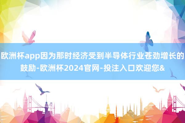 欧洲杯app因为那时经济受到半导体行业苍劲增长的鼓励-欧洲杯2024官网-投注入口欢迎您&