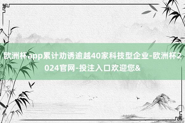 欧洲杯app累计劝诱逾越40家科技型企业-欧洲杯2024官网-投注入口欢迎您&