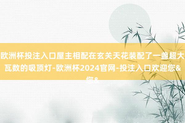 欧洲杯投注入口屋主相配在玄关天花装配了一盏超大瓦数的吸顶灯-欧洲杯2024官网-投注入口欢迎您&