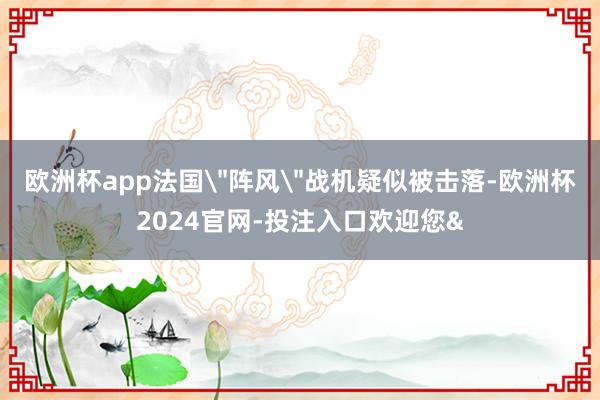 欧洲杯app法国＂阵风＂战机疑似被击落-欧洲杯2024官网-投注入口欢迎您&
