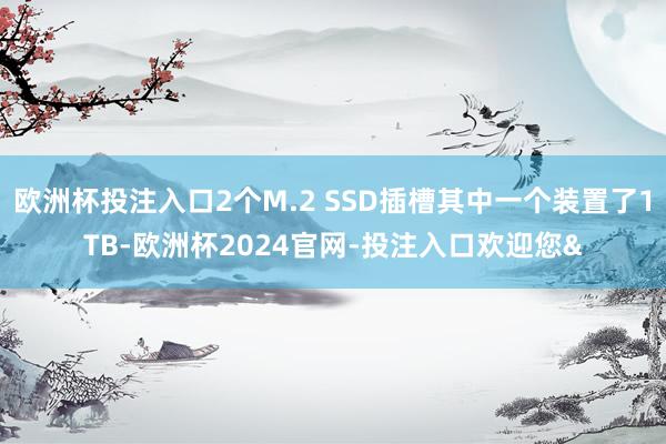 欧洲杯投注入口2个M.2 SSD插槽其中一个装置了1TB-欧洲杯2024官网-投注入口欢迎您&